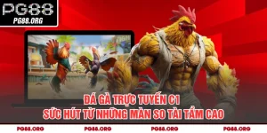Đá Gà Trực Tuyến C1 - Sức Hút Từ Những Màn So Tài Tầm Cao